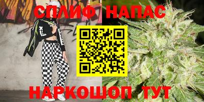 a pvp Нальчик