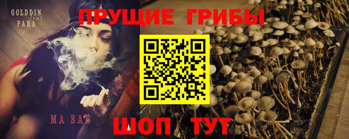 Галлюциногенные грибы прущие грибы Тара