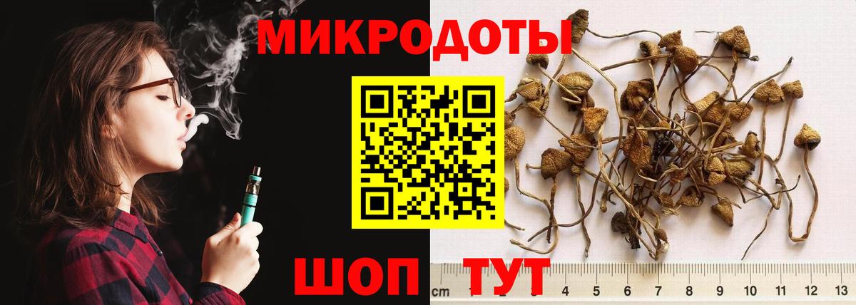 Тара  Галлюциногенные грибы MAGIC MUSHROOMS  Вход с VPN 